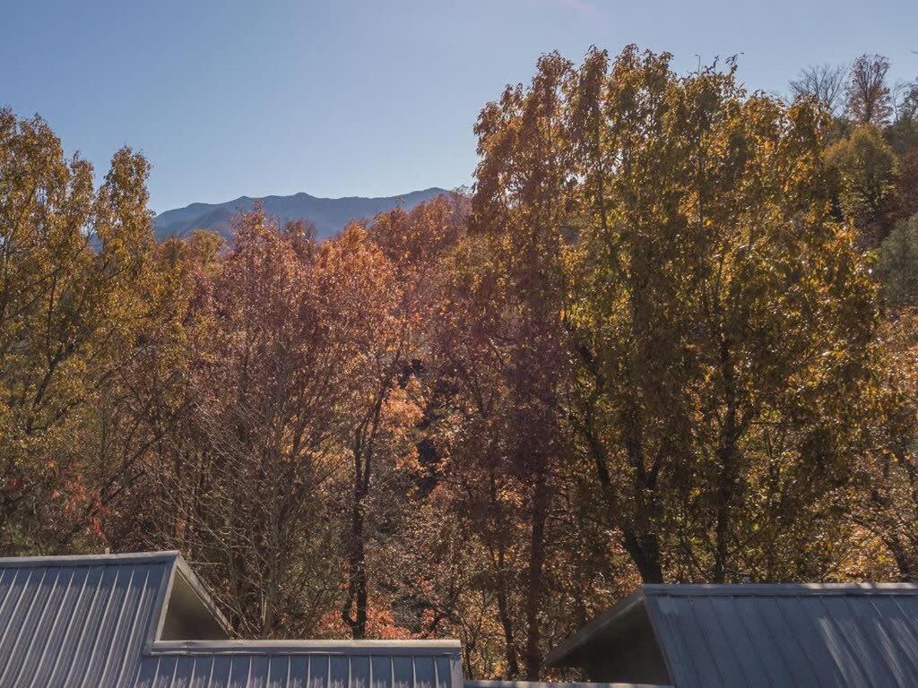 Sasquatch Lodge E Sleeps 13 Gatlinburg Luaran gambar